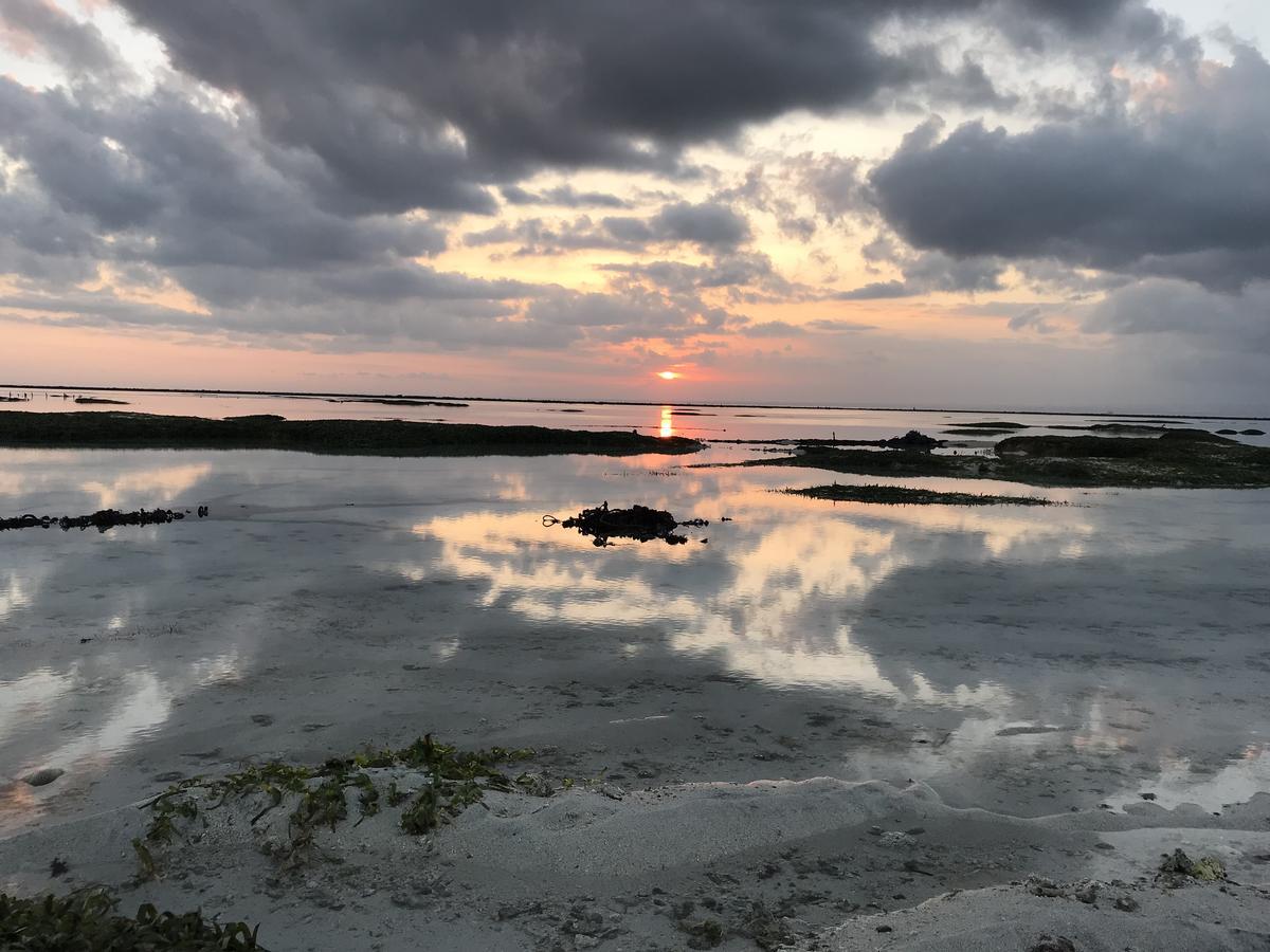 Lembongan Tropical Guesthouse المظهر الخارجي الصورة